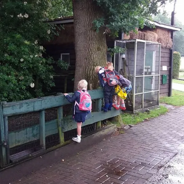 camping-meulebarg-elspeet-ux0og