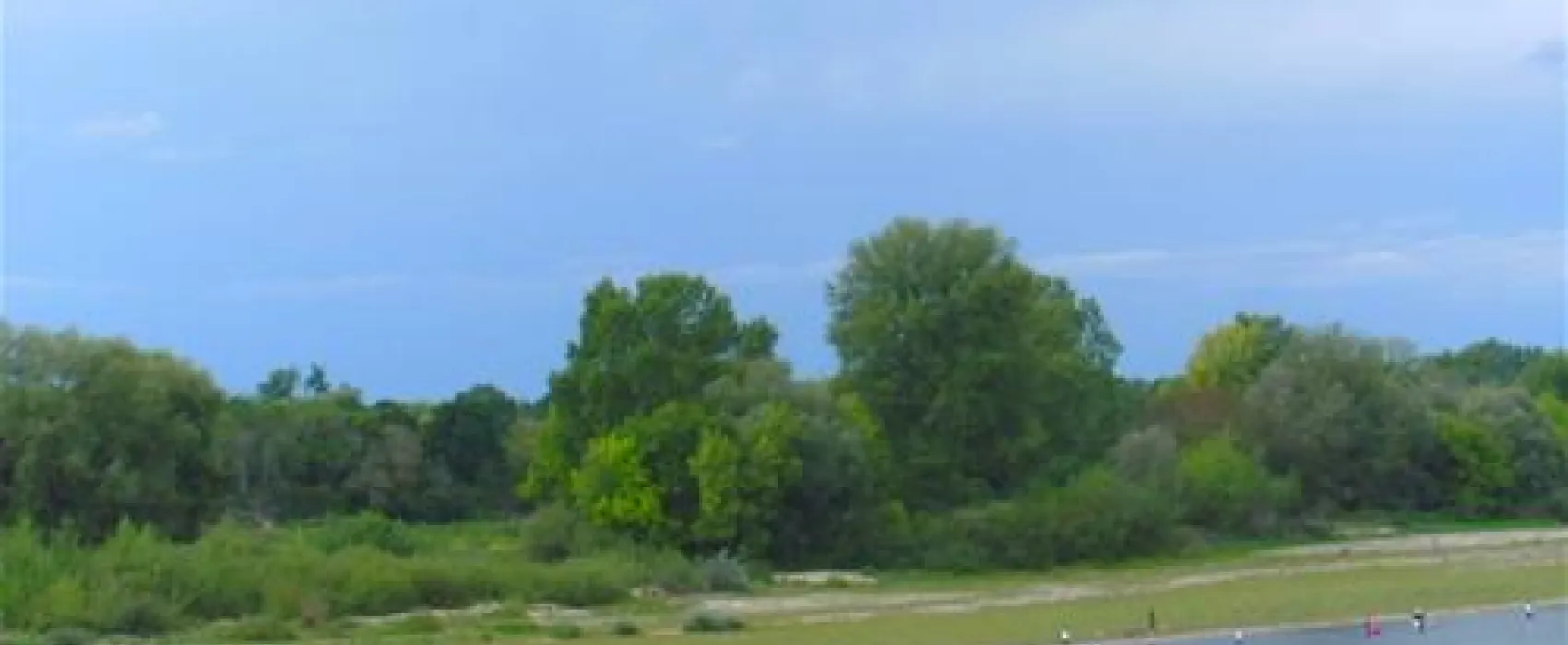 Camping Municipal La Saulaie  