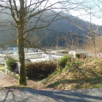 Camping La Glycine