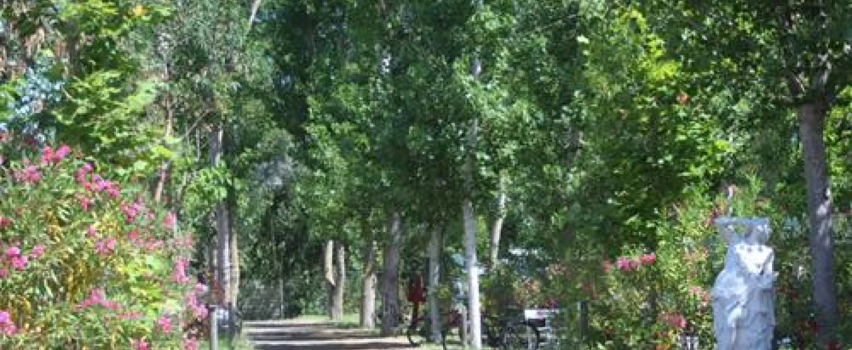 Camping Les Mimosas  