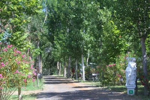 camping-les-mimosas-portiragnes-plage-r0s79