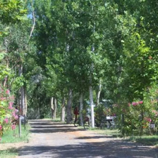 camping-les-mimosas-portiragnes-plage-r0s79