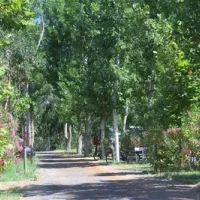 camping-les-mimosas-portiragnes-plage-r0s79