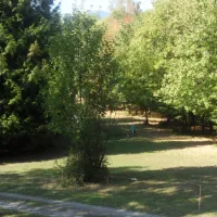 camping-combe-leat-presle-wv4sy