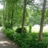 kneipp-und-erlebniscamping-an-den-spreewaldfliesen-burg-im-spreewald-d4qhr