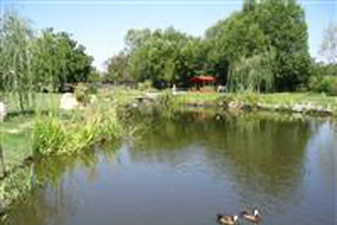 camping-idyll-nagyvaty-3udbp
