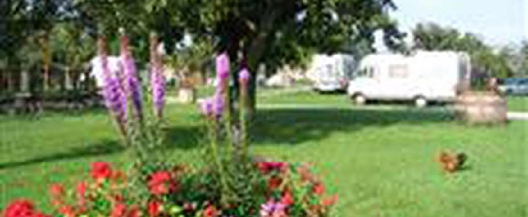 Camping Idyll