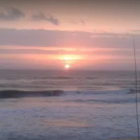 Flagler By the Sea