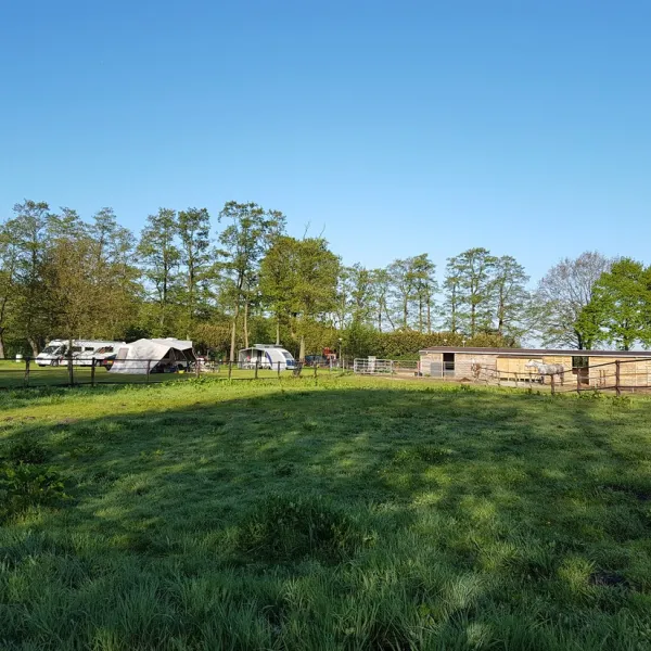 stalhouderij-en-minicamping-de-stieltjeshoeve-stieltjeskanaal-17srm