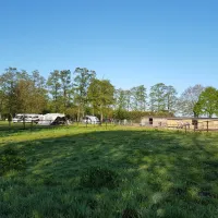 stalhouderij-en-minicamping-de-stieltjeshoeve-stieltjeskanaal-17srm