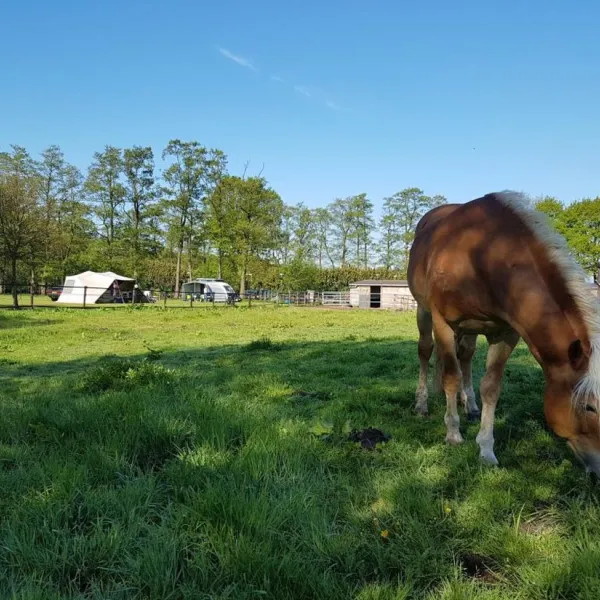 stalhouderij-en-minicamping-de-stieltjeshoeve-stieltjeskanaal-1hddu