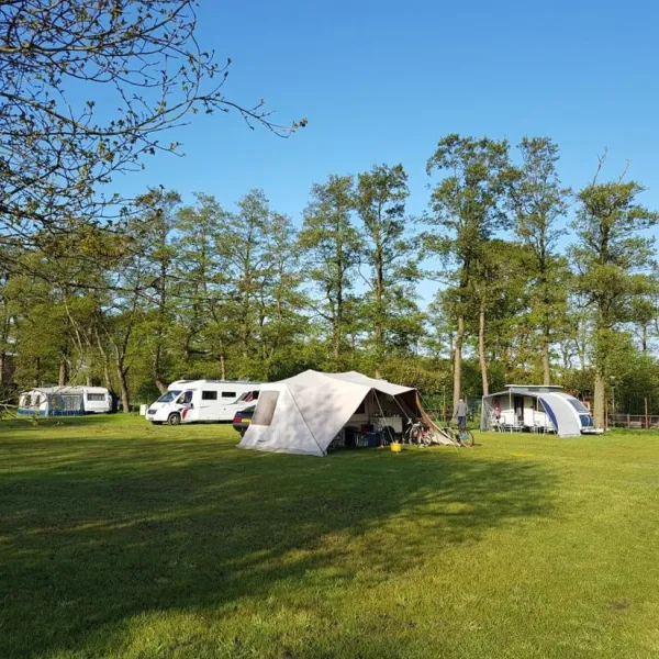 stalhouderij-en-minicamping-de-stieltjeshoeve-stieltjeskanaal-ekz4i