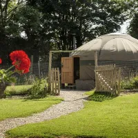 campden-yurts-chipping-campden-np6jg