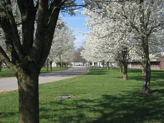 add-more-campground-clarksville-tdlbk