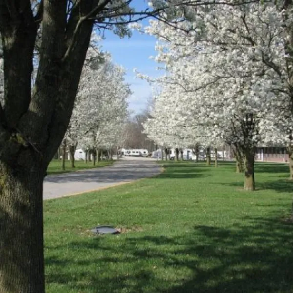 Add-More Campground