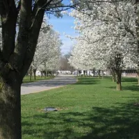 Add-More Campground