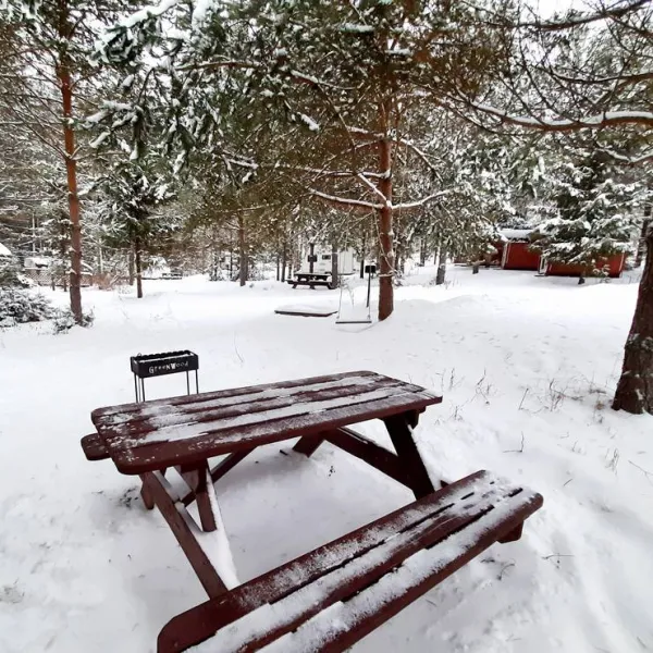 greenwood-camping-permski-krai-polazna-m8tyf