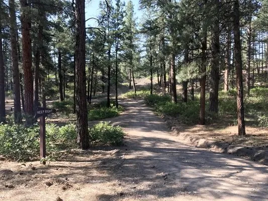 ute-campground-pagosa-springs-6qxlp