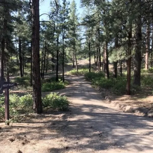 ute-campground-pagosa-springs-6qxlp