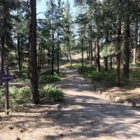 ute-campground-pagosa-springs-6qxlp