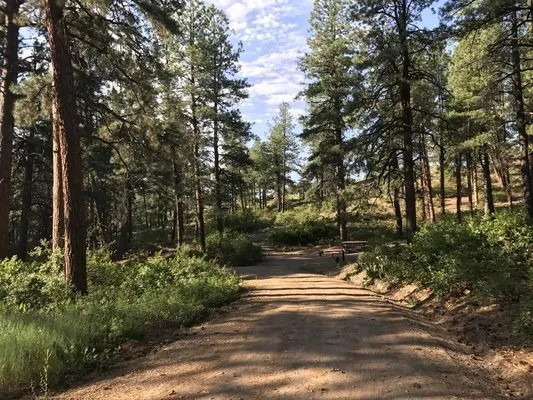 ute-campground-pagosa-springs-oez7x