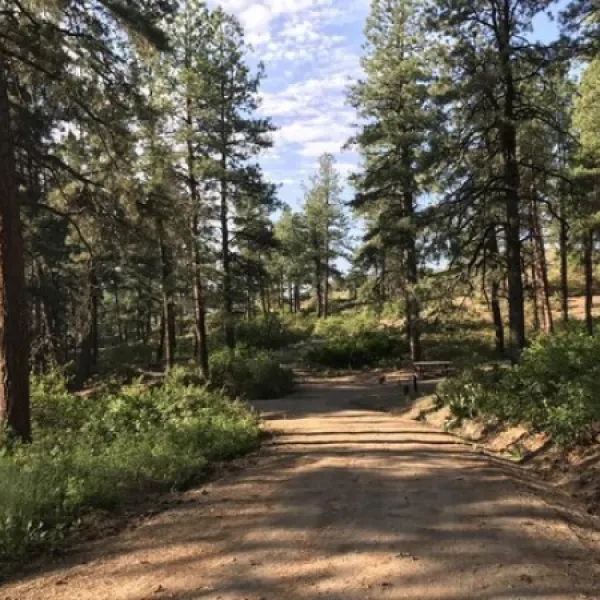 ute-campground-pagosa-springs-oez7x