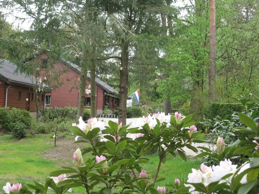 t-spoek-alcoholvrije-camping-beekbergen-8fpii