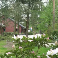 t-spoek-alcoholvrije-camping-beekbergen-8fpii