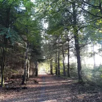 t-spoek-alcoholvrije-camping-beekbergen-er83v