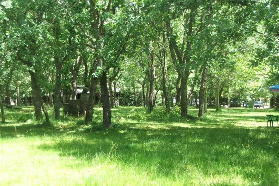 camping-la-dehesa-agallas-3cycf