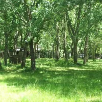 camping-la-dehesa-agallas-3cycf