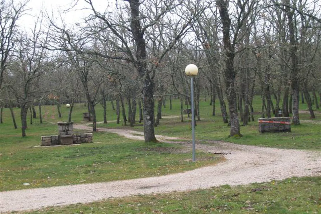 camping-la-dehesa-agallas-jcvif