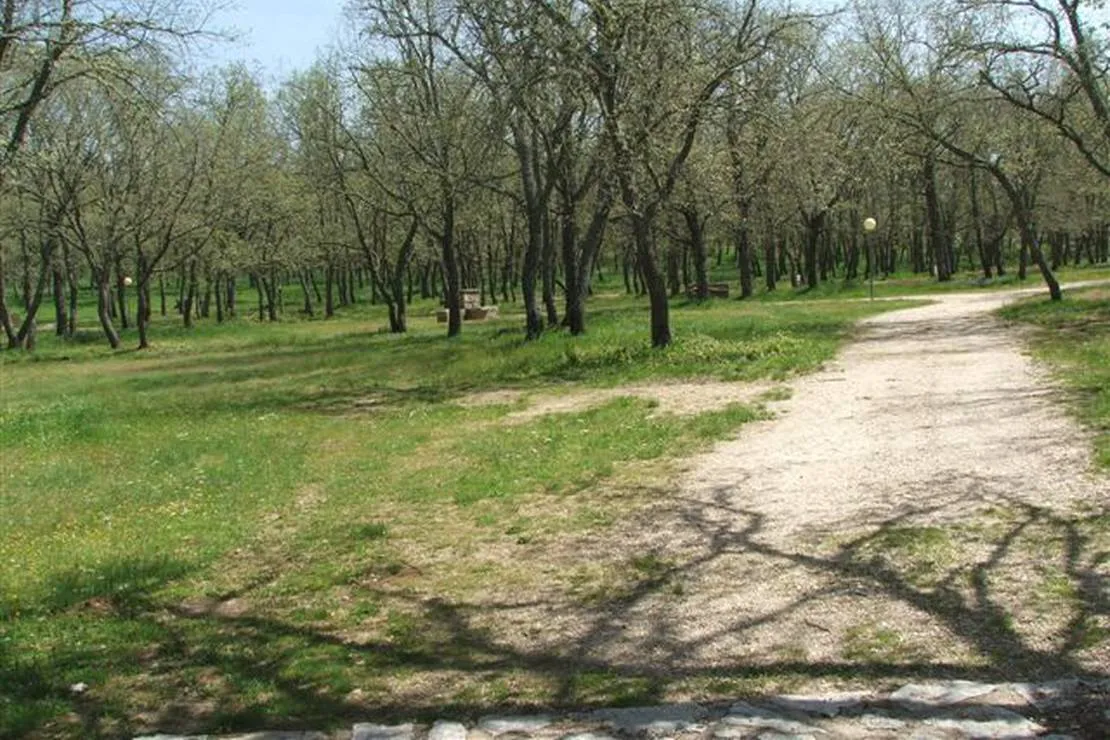 camping-la-dehesa-agallas-vir5c