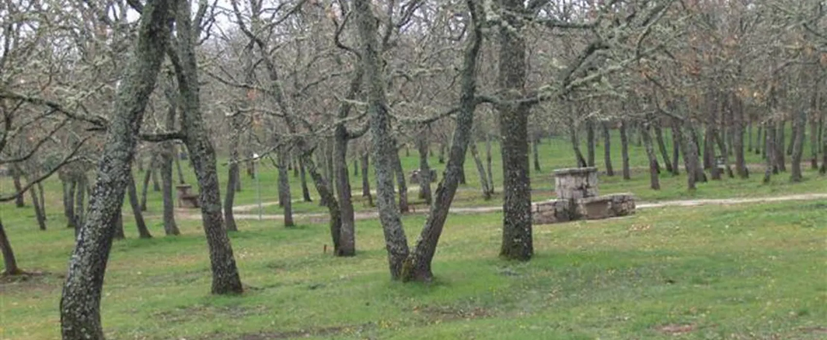 Camping La Dehesa