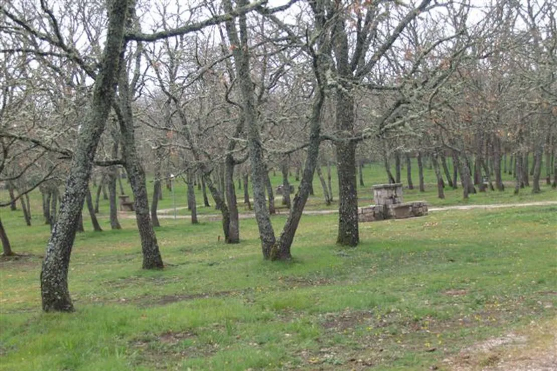 camping-la-dehesa-agallas-yvpub