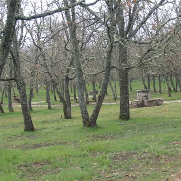 camping-la-dehesa-agallas-yvpub