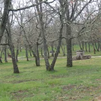 camping-la-dehesa-agallas-yvpub
