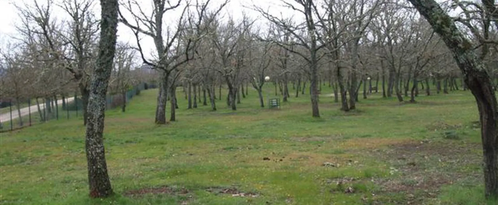 Camping La Dehesa