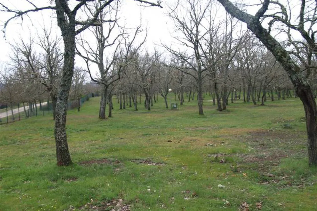 camping-la-dehesa-agallas-zimpw