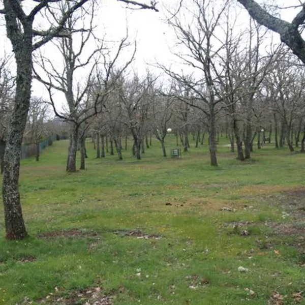 camping-la-dehesa-agallas-zimpw