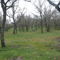 camping-la-dehesa-agallas-zimpw