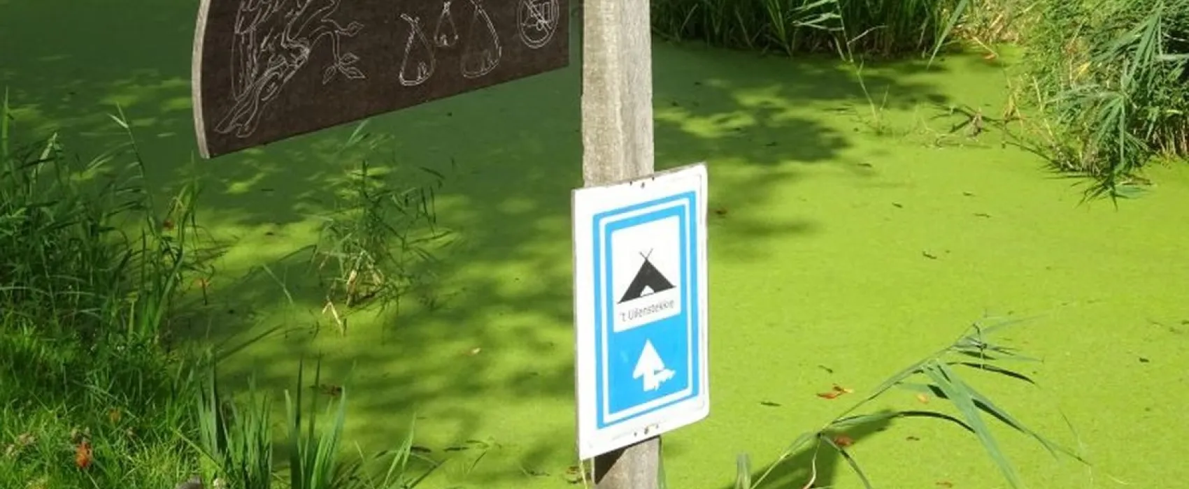 Mini Camping ´t Uilenstekkie