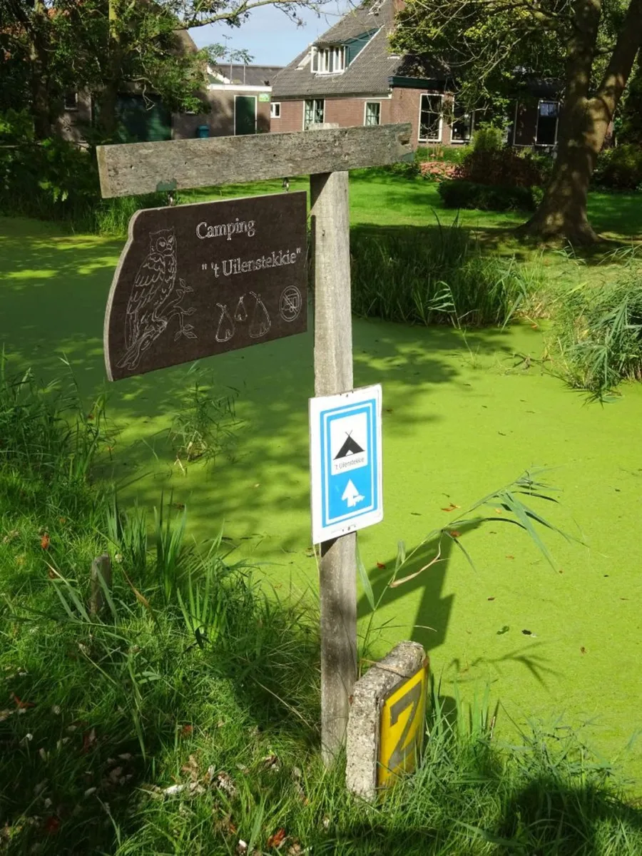 mini-camping-t-uilenstekkie-amsterdam-ca9dy