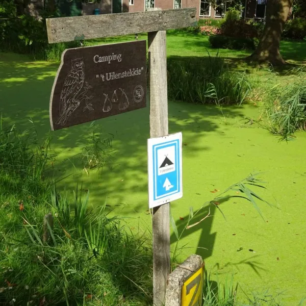 mini-camping-t-uilenstekkie-amsterdam-ca9dy