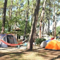 camping-les-oyats-seignosse-rirba