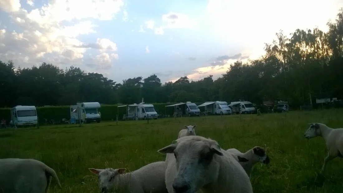 camping-heiderust-baarlo-lb-bray3