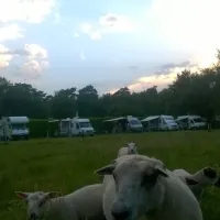 camping-heiderust-baarlo-lb-bray3