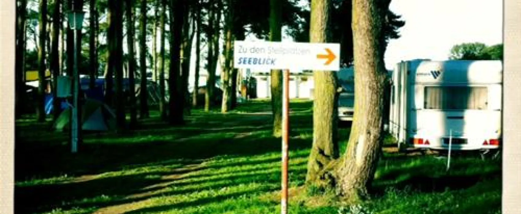 Waldcamp Freest