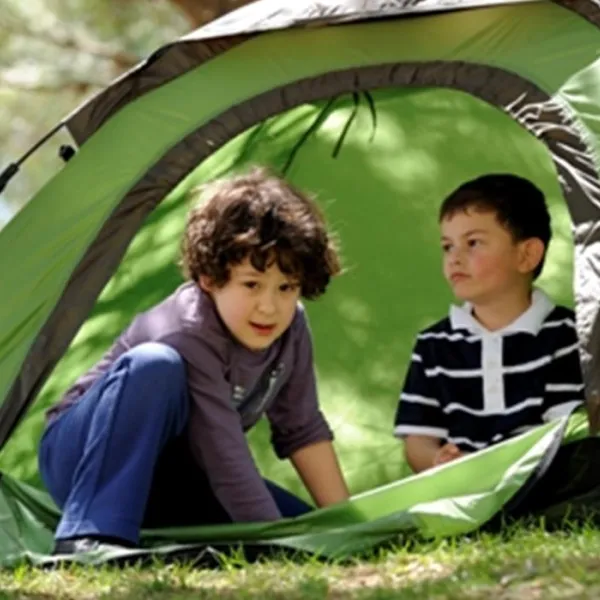 Camping De Lemeler Esch