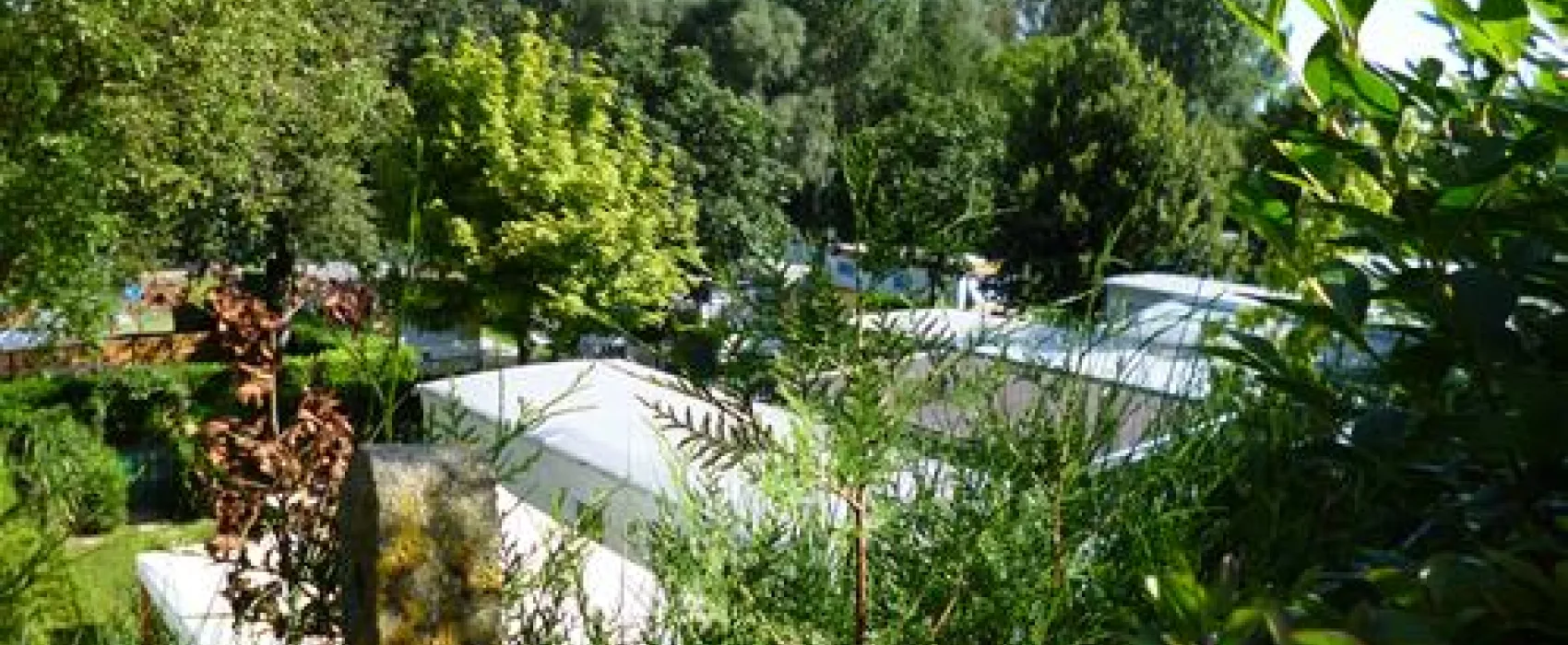 Camping Reamerik